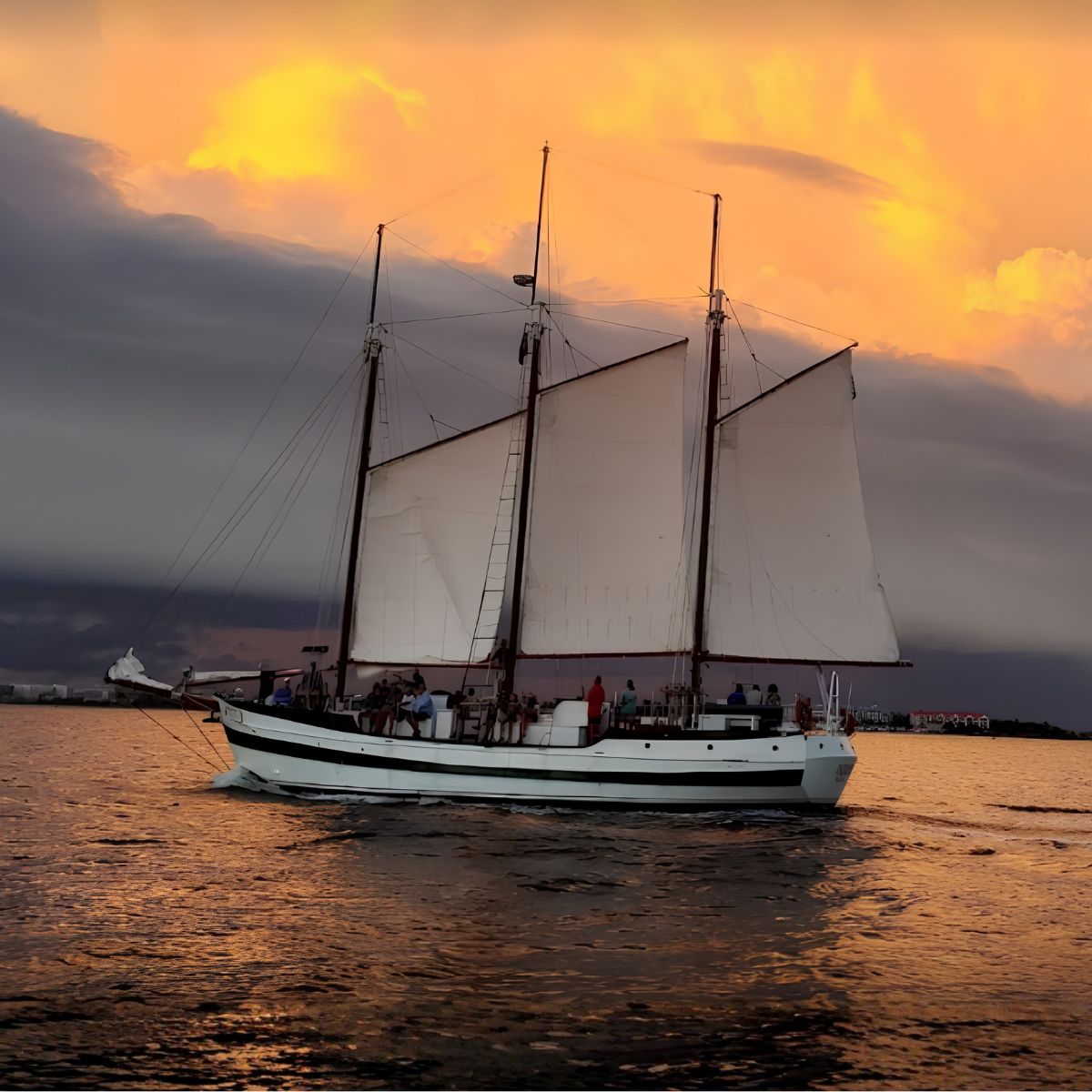 Boat Tours & Cruises